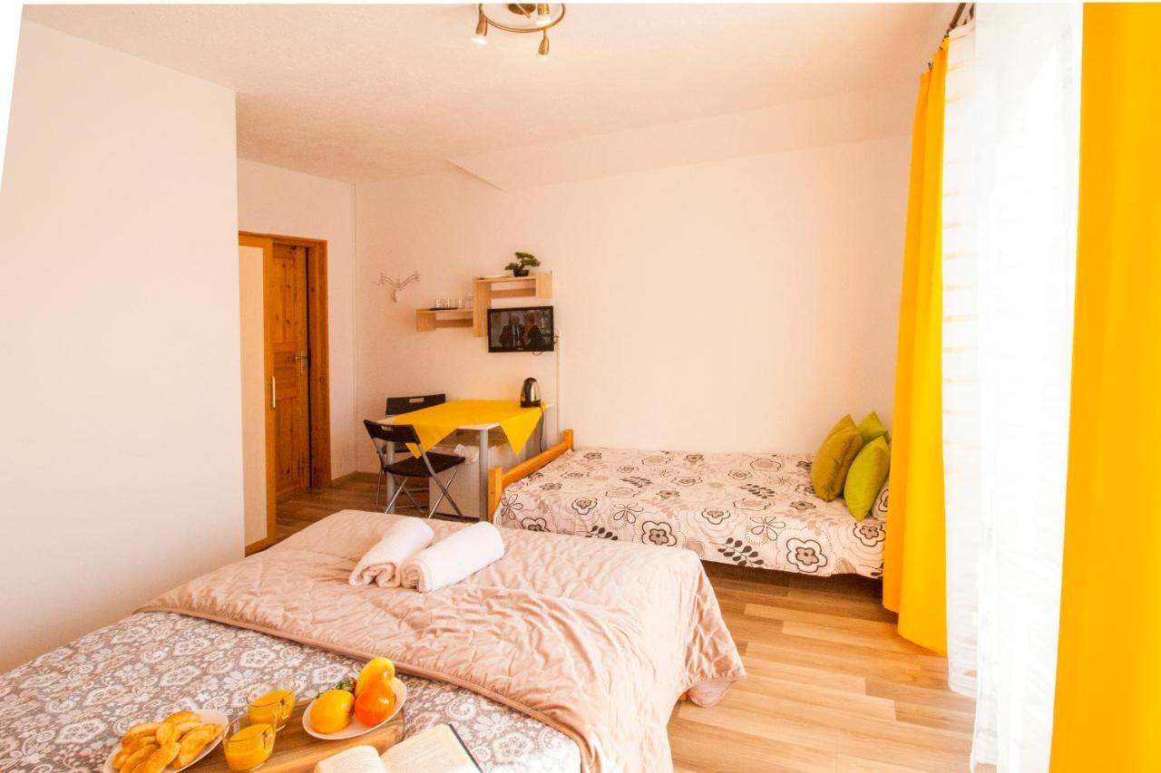 Bieszczadzki Brat Apartamenty Polańczyk Εξωτερικό φωτογραφία